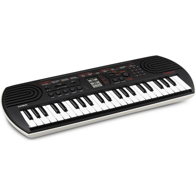 Casio 309581