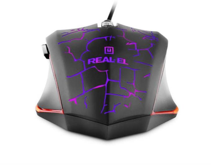 REAL-EL EL123200018