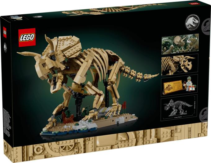 LEGO 77985