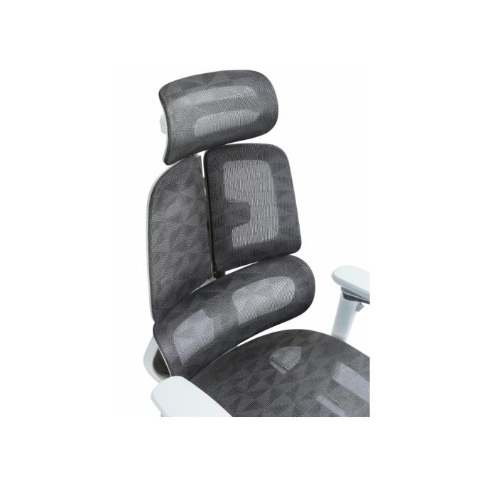 GT Racer B-2450 White/Gray
