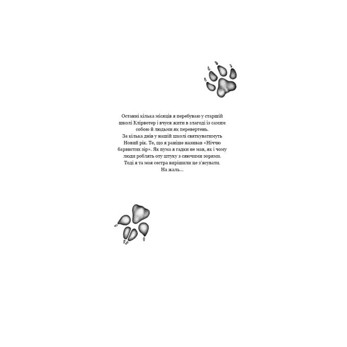 BookChef 9786175483374