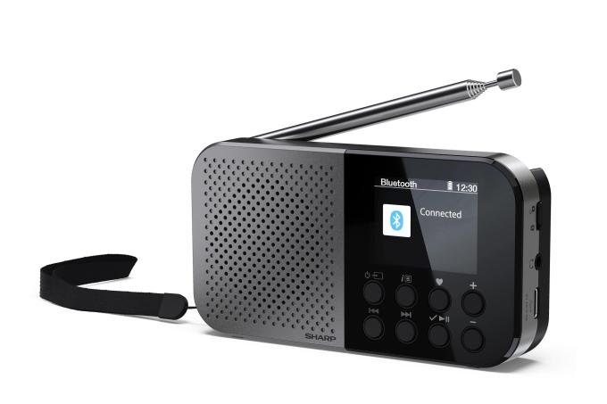 SHARP DR-P520(GY)