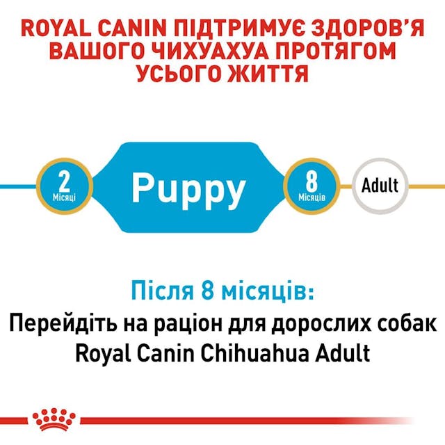 Royal Canin 24380051