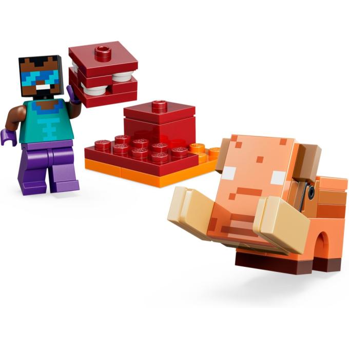 LEGO 21584