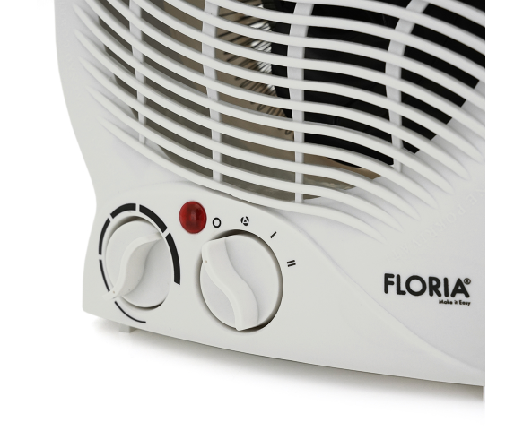 Floria ZLN6171