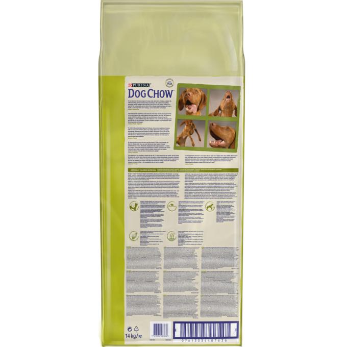 Purina Dog Chow 7613034487636