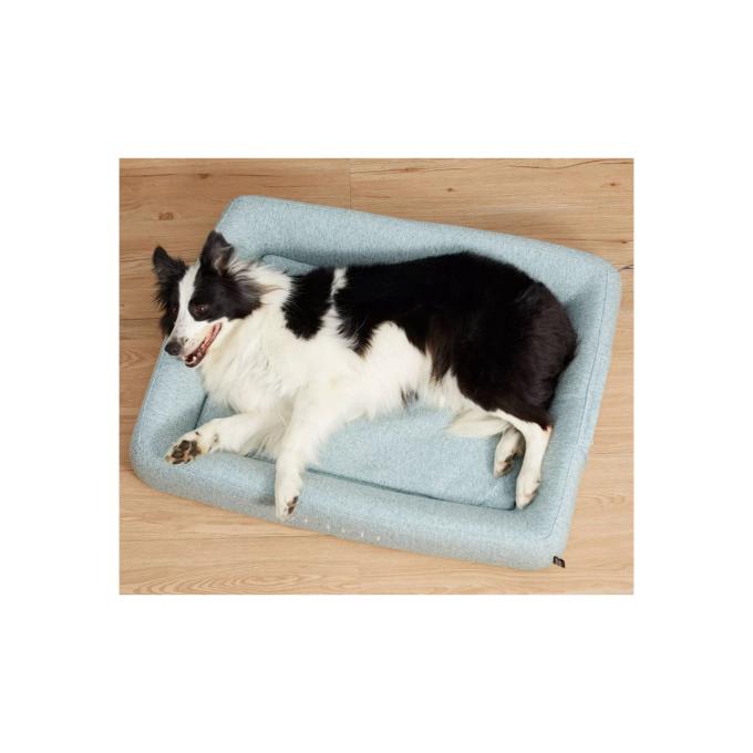 Petkit P7110