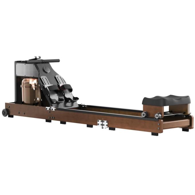 KINGSMITH CJWM10 PRO WALNUT WOOD