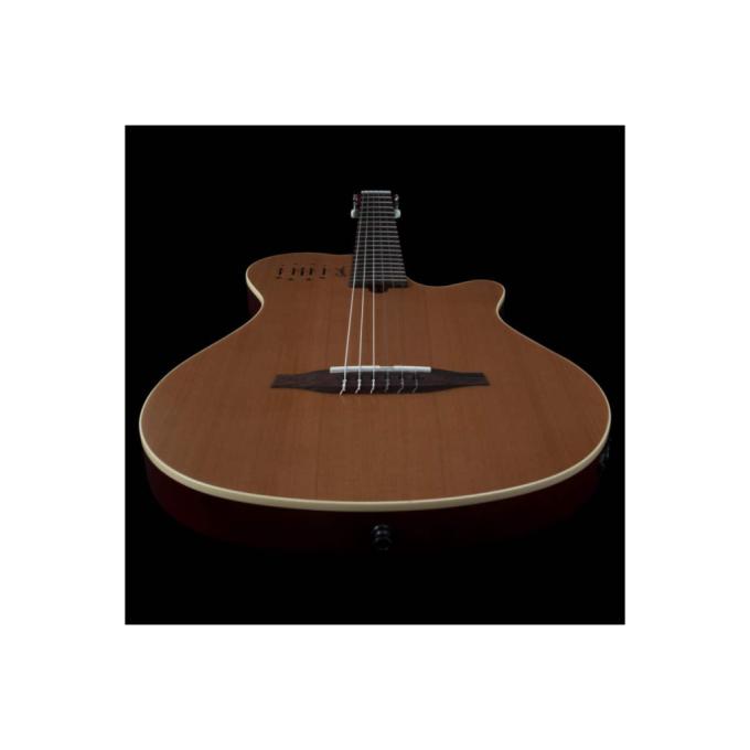 Godin 235919