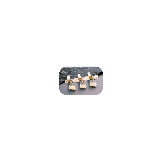Maxtone GM-21N