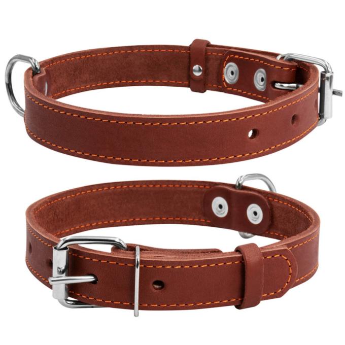 Collar 02196