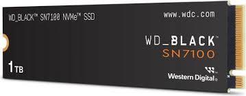 WD WDS100T4X0E
