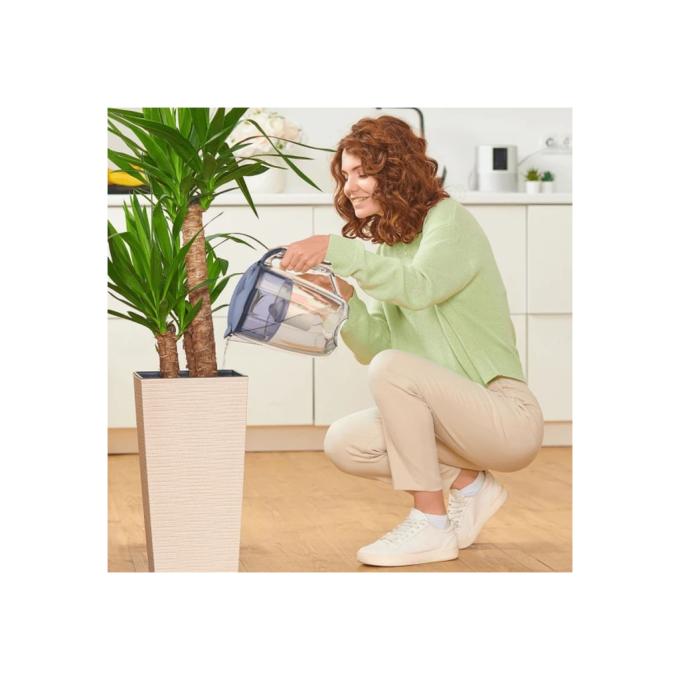 Ecosoft FMVMAXIMADBECO