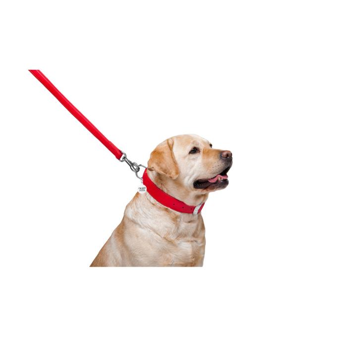WAUDOG 33763