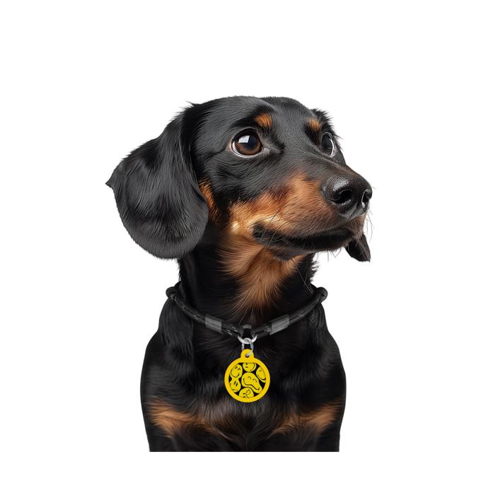 WAUDOG 225-0181