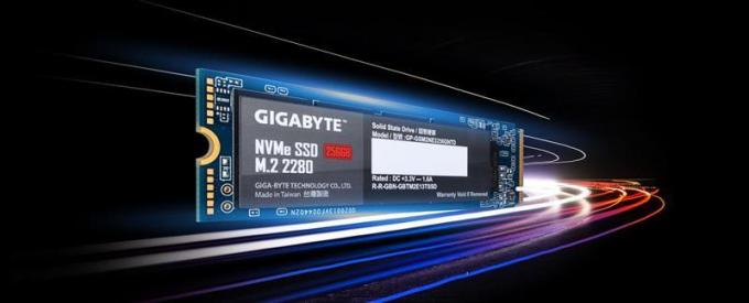 GIGABYTE GP-GSM2NE3256GNTD