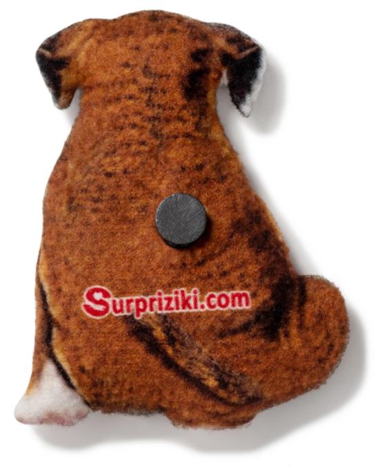 SURPRIZIKI MGFD-01
