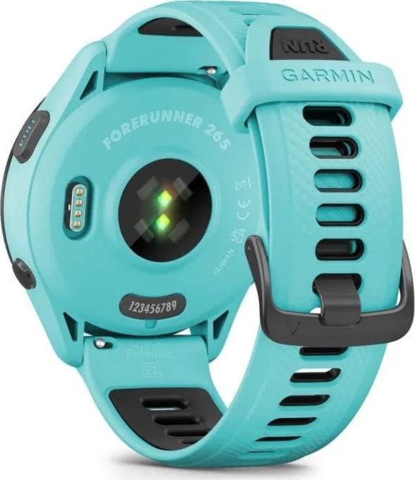 Garmin 010-02810-52