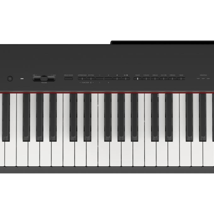 Yamaha P-225B