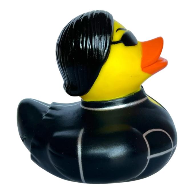 Funny Ducks 1325