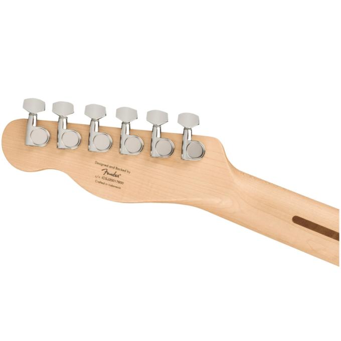 Squier by Fender 231505