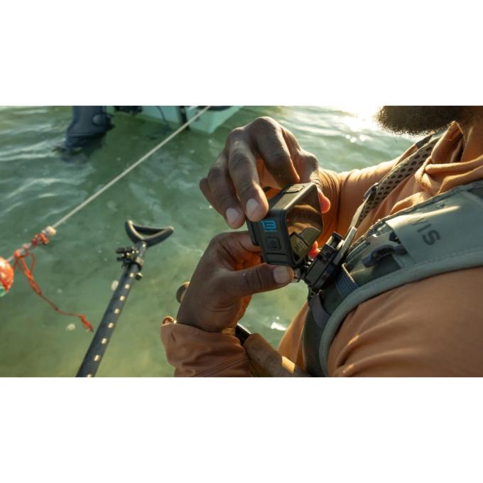 GoPro AEMAG-001