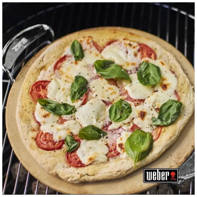 Weber 17301004