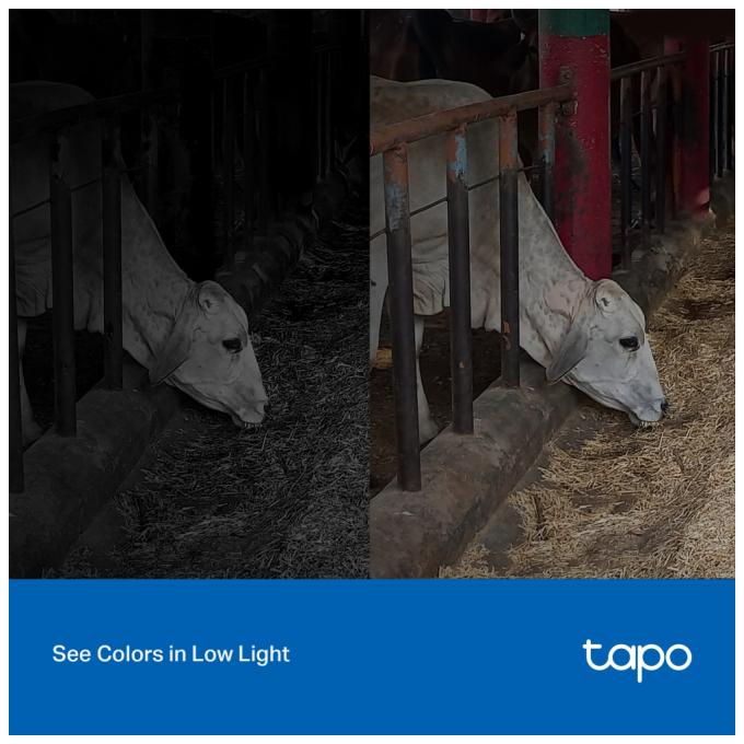 TP-Link TAPO-C320WS