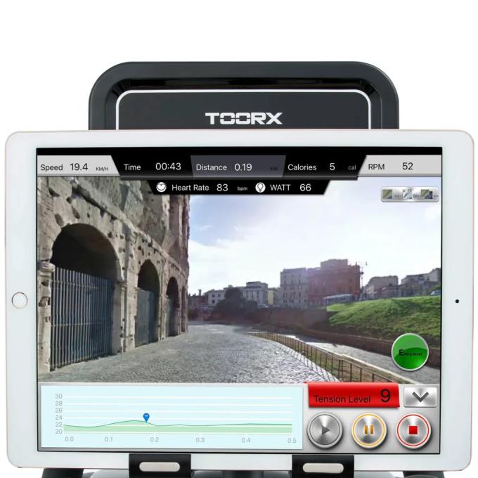 Toorx 929476