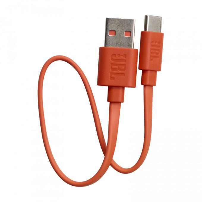 JBL JBLLIVEFLEXBLK