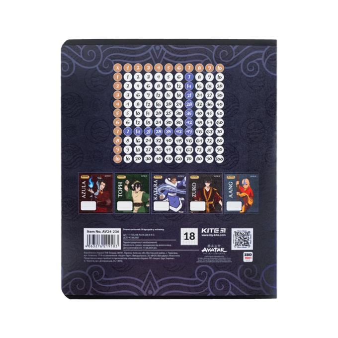 Kite AV24-236