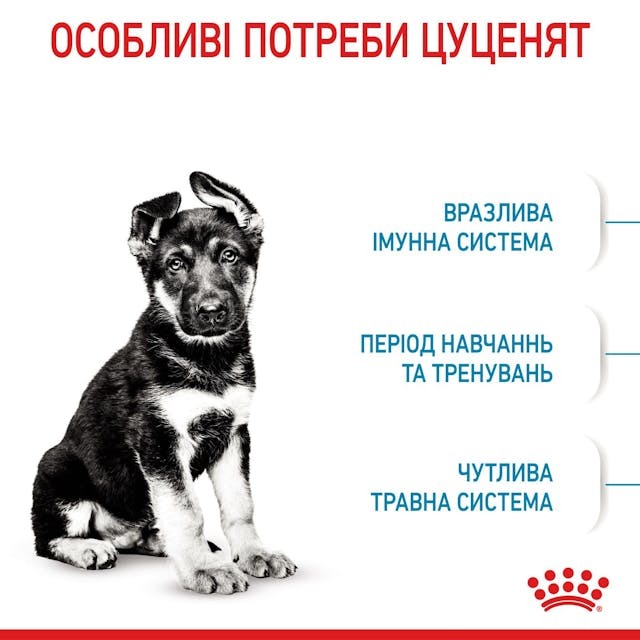 Royal Canin 30061501