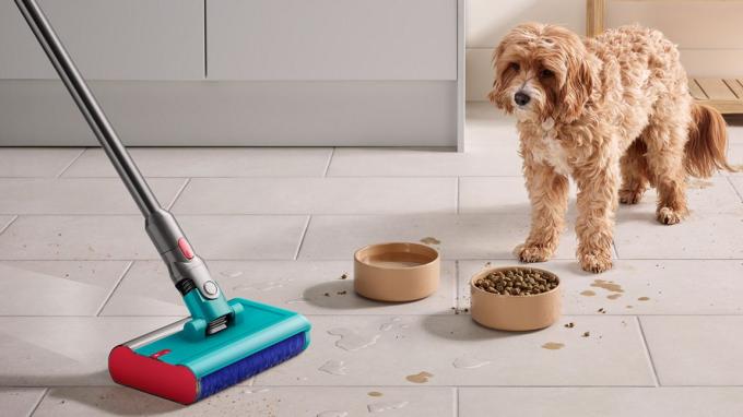 Dyson 448798-01