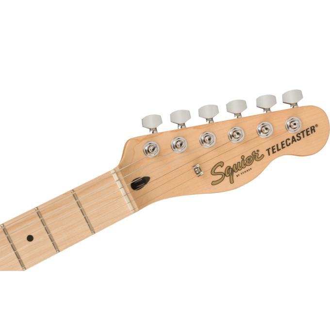 Squier by Fender 231505