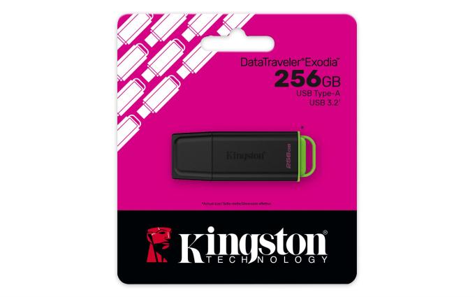 Kingston DTXG2/256GB