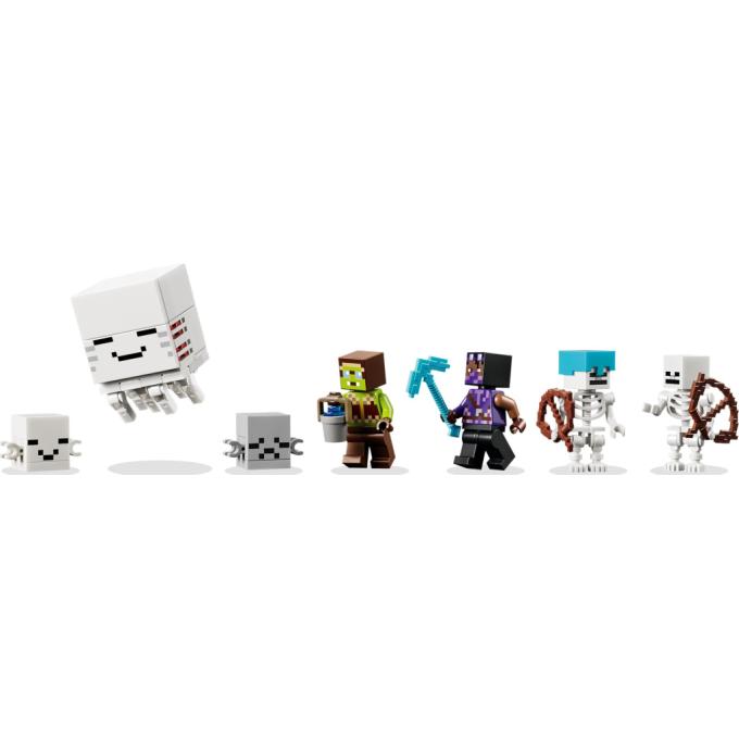 LEGO 21597