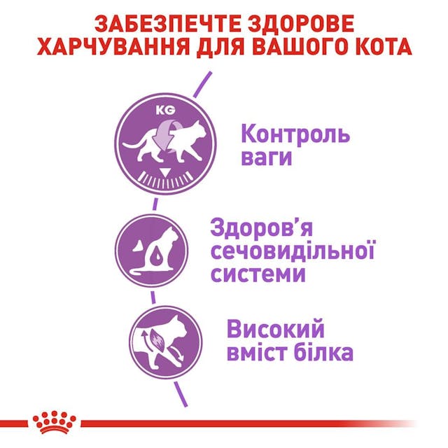 Royal Canin 2537020