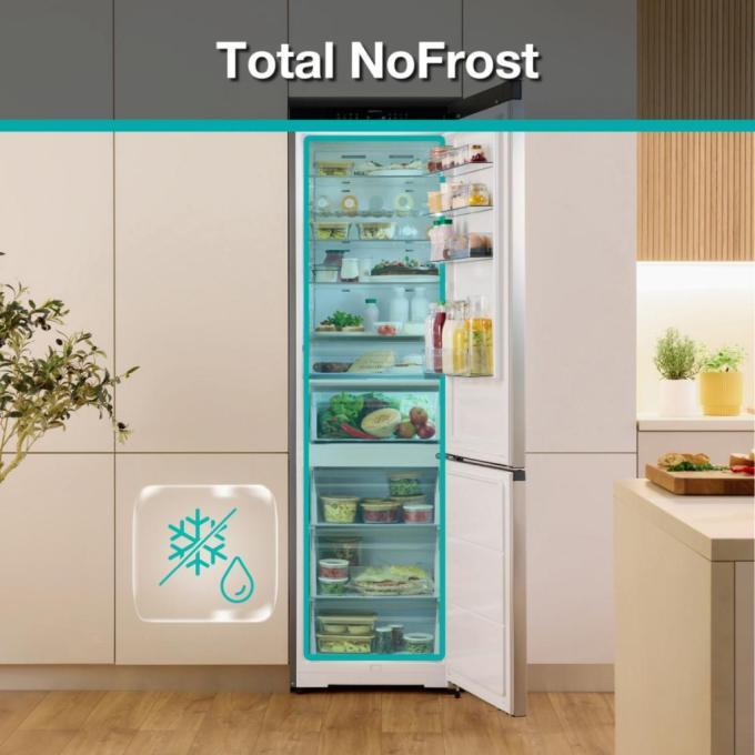 Gorenje NRB620E61W4WFE