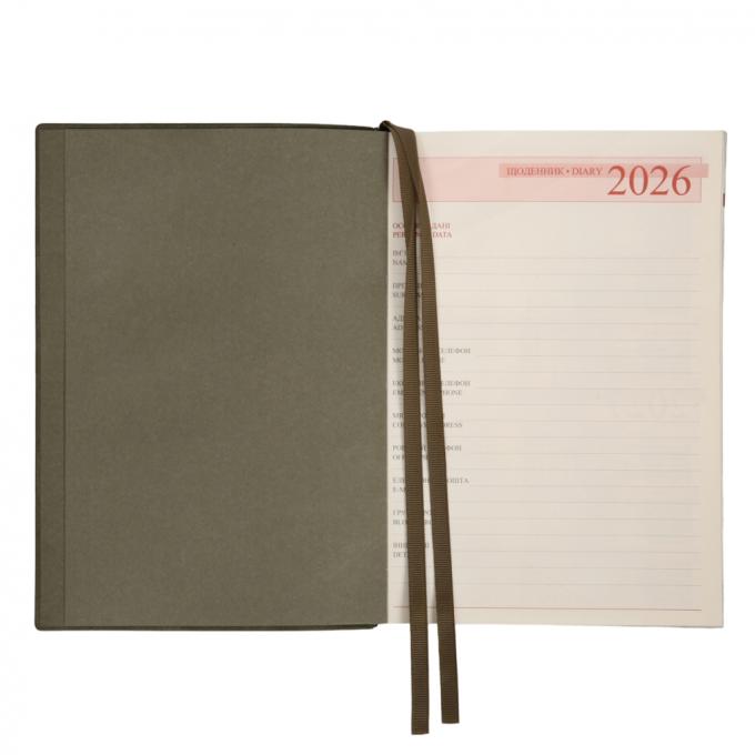Leo planner 252637
