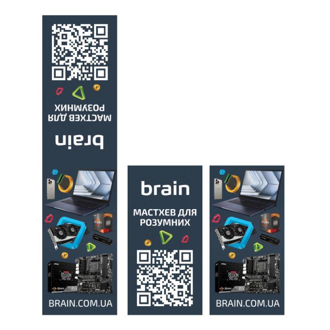 BRAIN 2000004030254