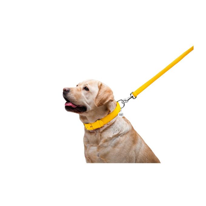 WAUDOG 33768