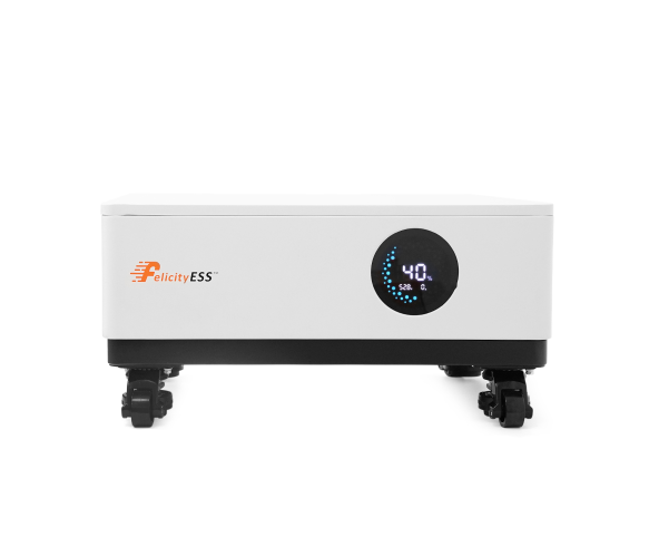 FelicityESS LUX-X-48100LCG01