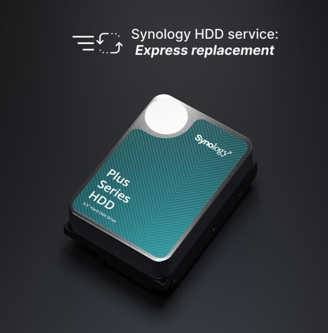 Synology HAT3310-12T