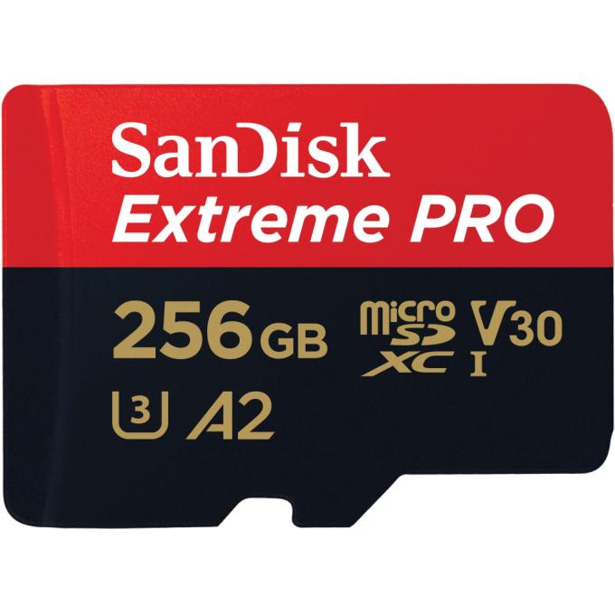 SANDISK SDSQXCD-256G-GN6MA