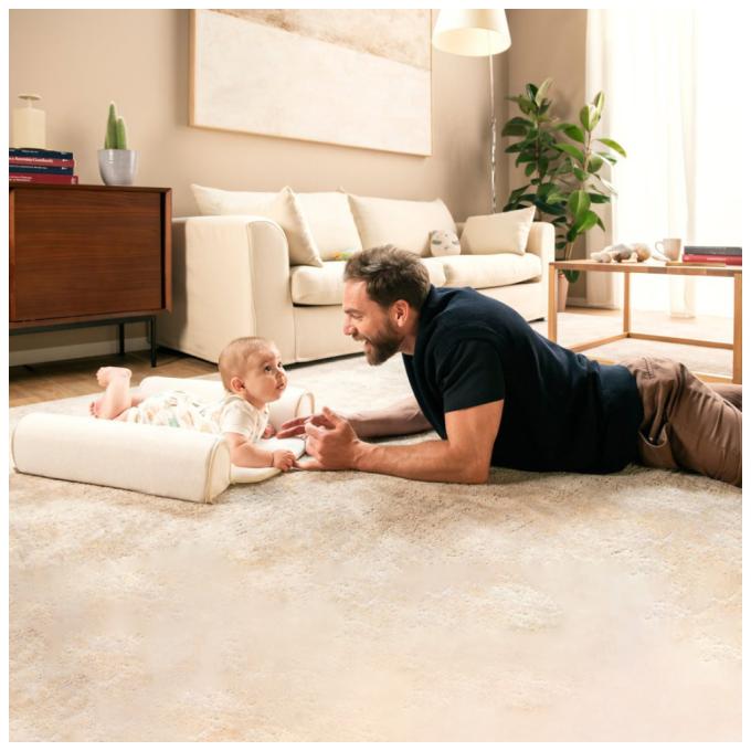 Chicco 87166.39