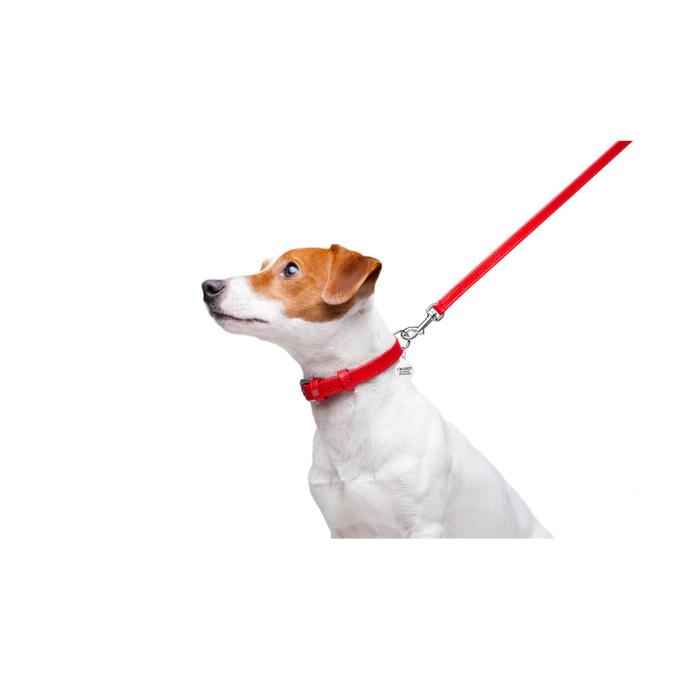 WAUDOG 33723