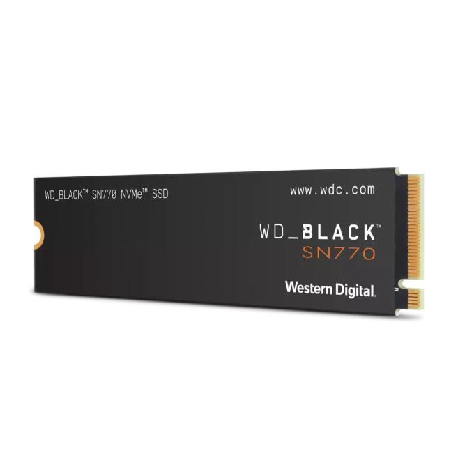 SANDISK WDS250G3X0E