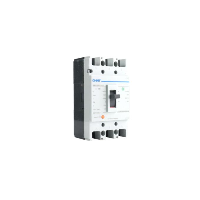Chint NM1-125S/3300-100