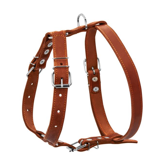 Collar 06386