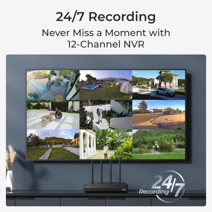 Reolink NVS12W